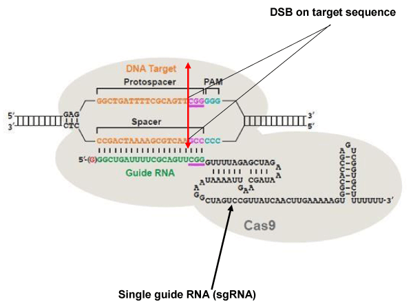 jgmgt-aid1003-g003