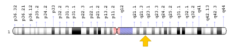 jgmgt-aid1004-g005