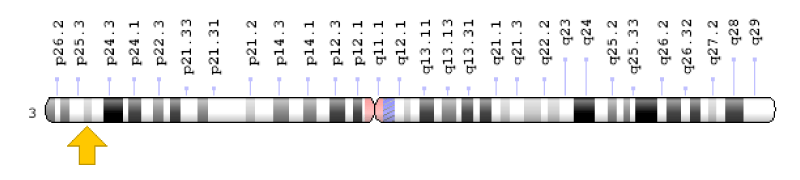 jgmgt-aid1004-g006