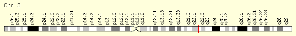 jgmgt-aid1013-g005
